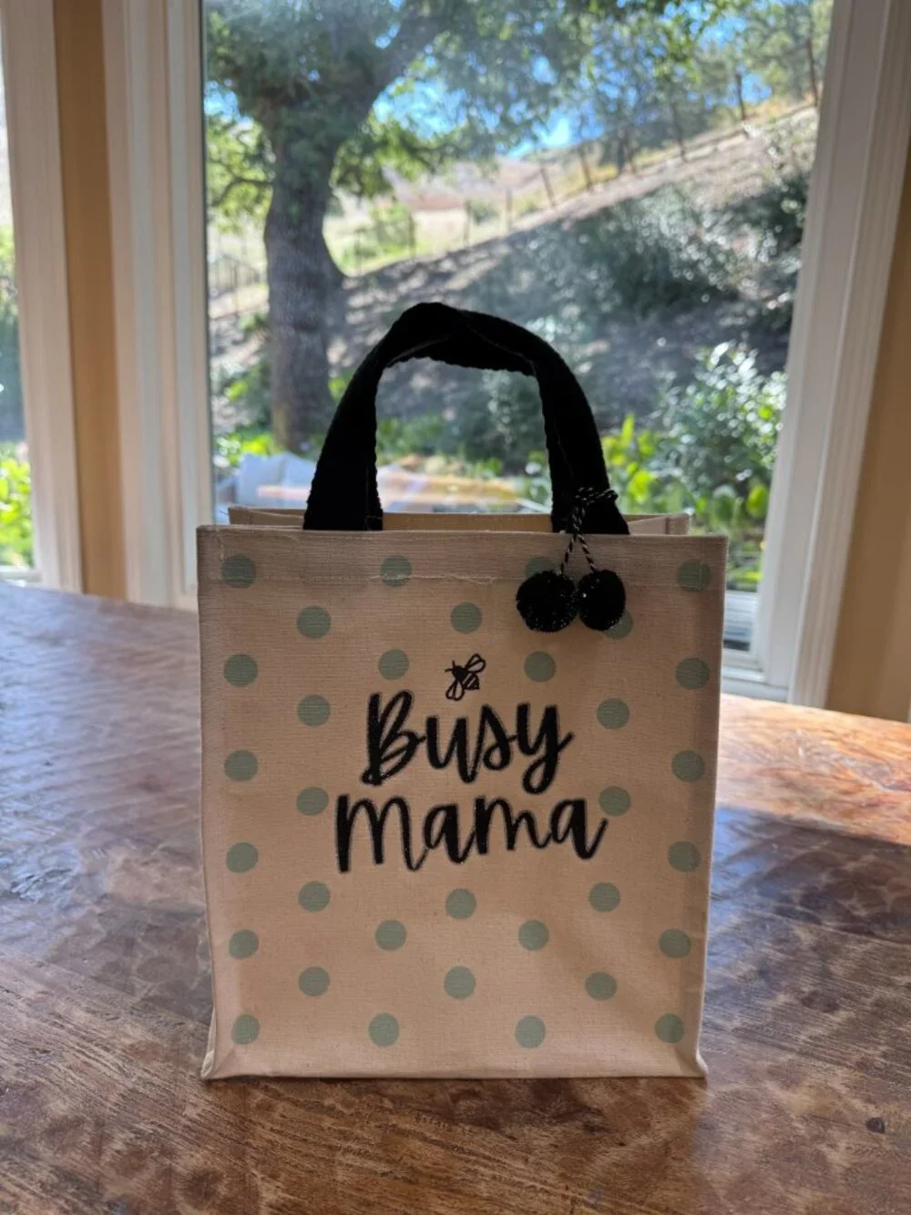 Busy Mama Lunch Bag
